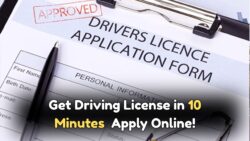 Apply for a Driving License Online in Just 10 Minutes – New Portal Live from July 25!
