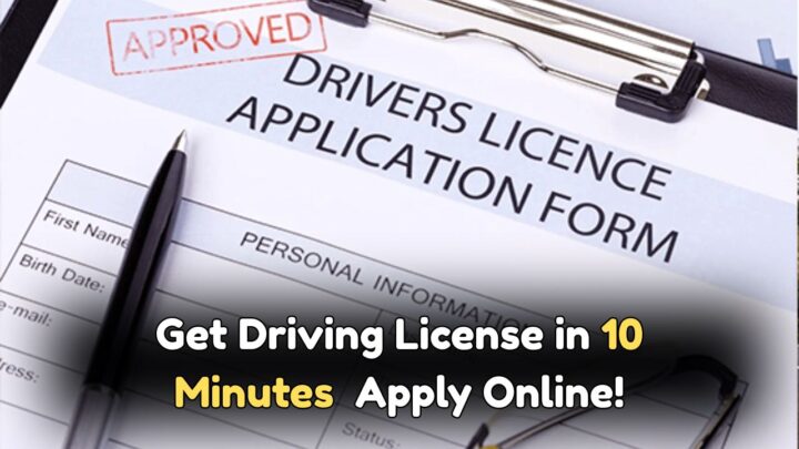 Driving License Online
