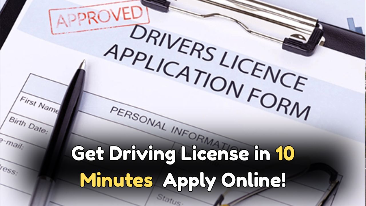 Driving License Online